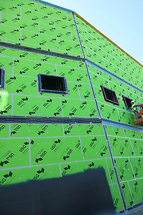 Neuroscience detail side wall