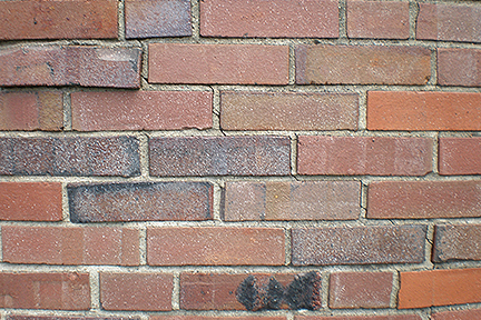 Otttawa Hills Tuck pointing Bldg H wall view 7